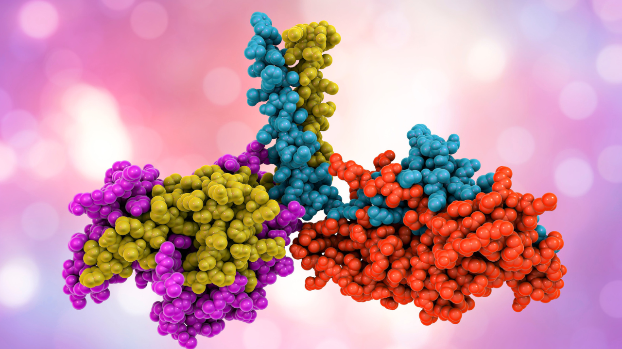 MHEC Powder for Macromolecule Polymerization Applications